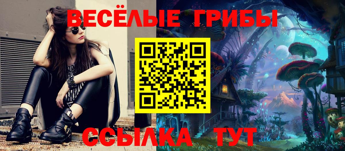 Псилоцибиновые грибы Cubensis Реутов